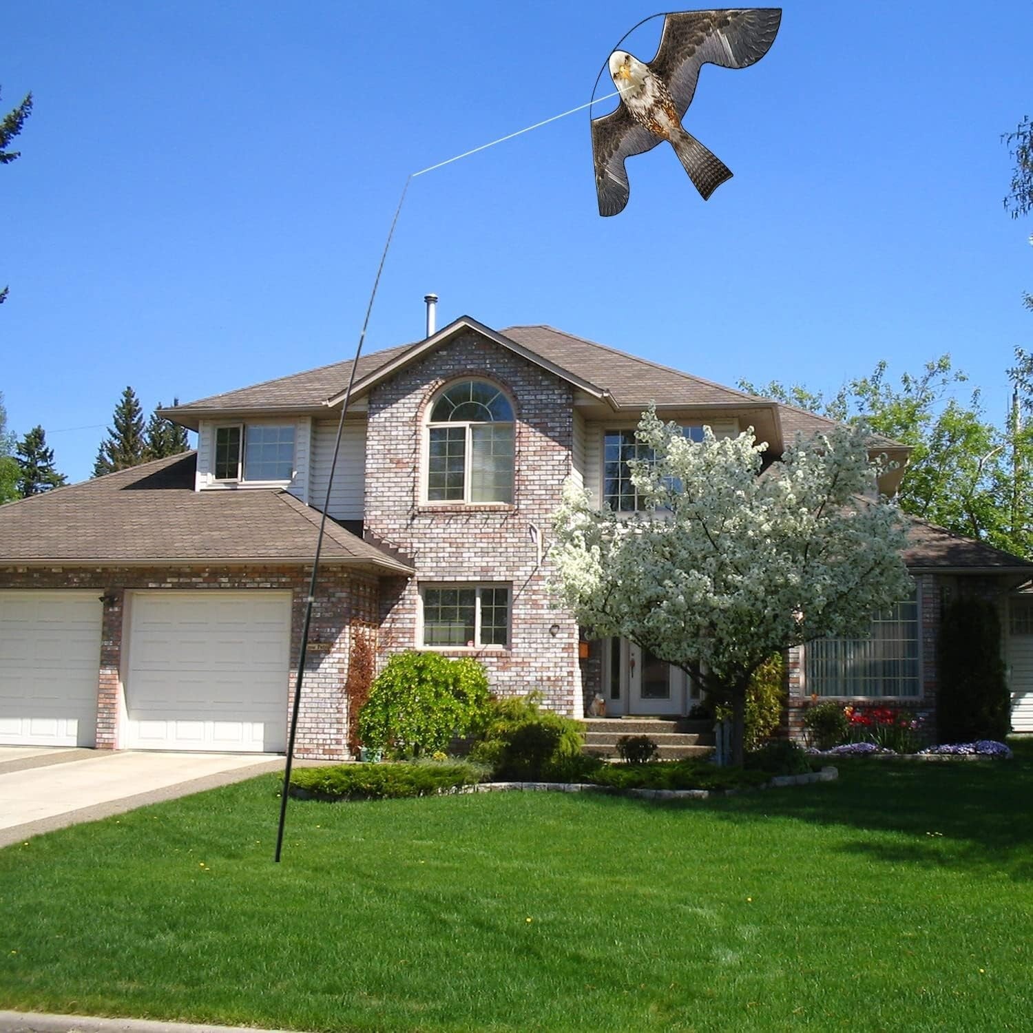 Durable 4m Pole Bird Scarer Kite - Scare Off Birds Safely & Effectively