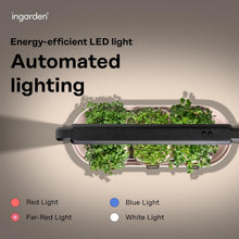 Load image into Gallery viewer, Indoor Hydroponic Microgreens Growing Kit - Eco-Friendly &amp; Fast-Growing Solution