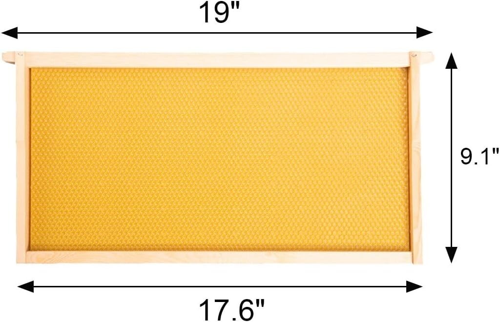 Yellow Beeswax Bee Frames for Standard Langstroth Deep Brood - 10 Piece Set