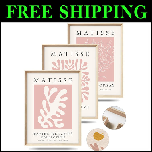 Elegant Framed Matisse Prints - Pink Canvas Decor for Bedroom & Living Room