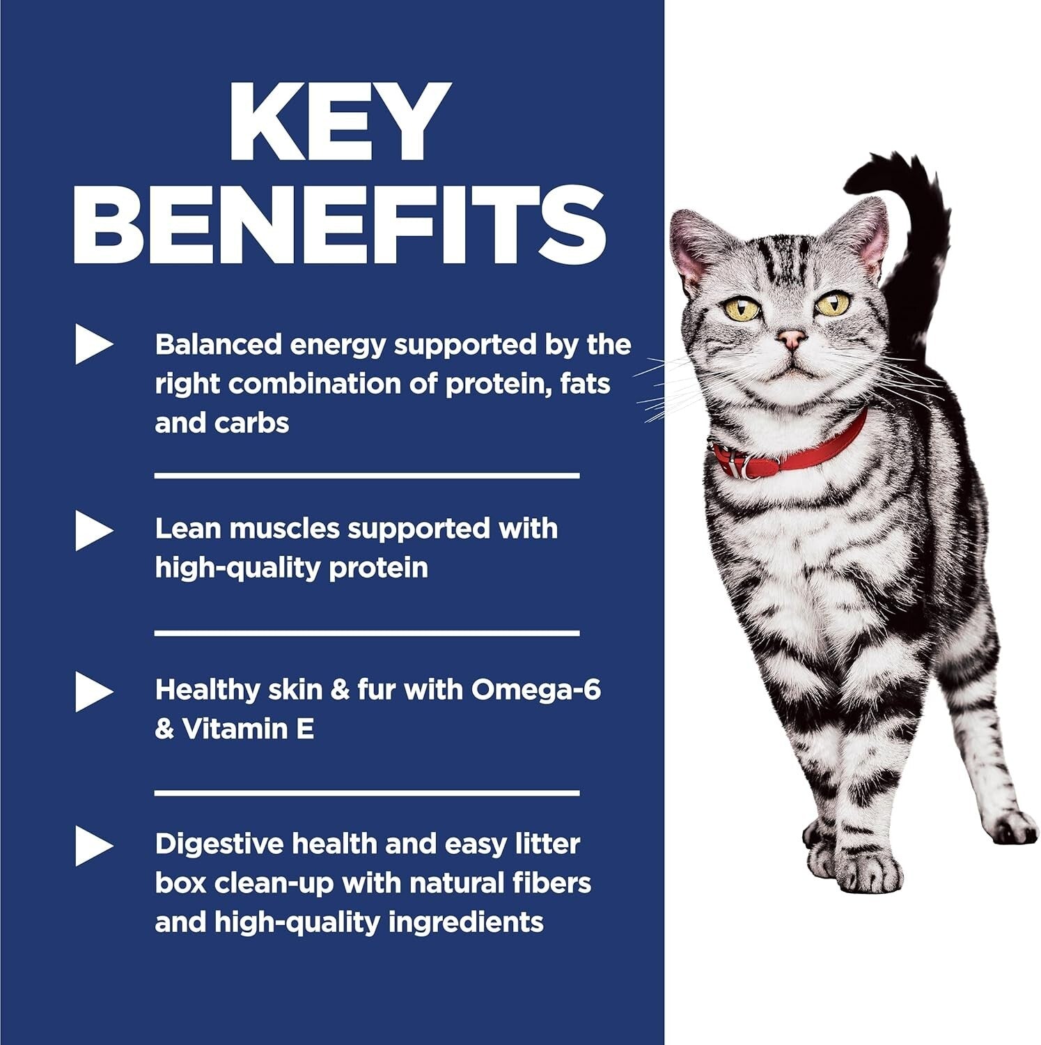 Science Diet 15.5 lb Chicken Flavor Dry Food for Indoor Adult Cats 1-6 Years