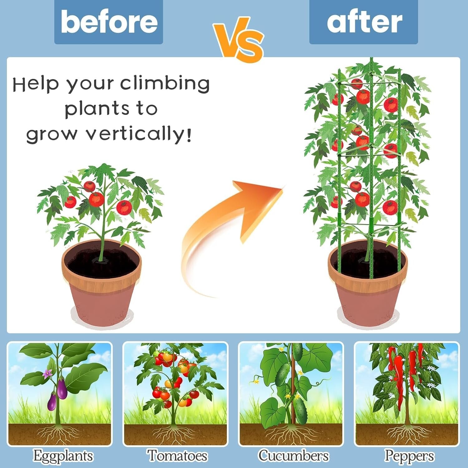 Customized 6-Pack Tomato Plant Supports - Tall Garden Stakes for Healthy Growth