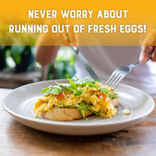 Load image into Gallery viewer, Nutritious 1.5 lbs Gluten-Free Dried Egg Powder - Ideal for Home &amp; Outdoor Use