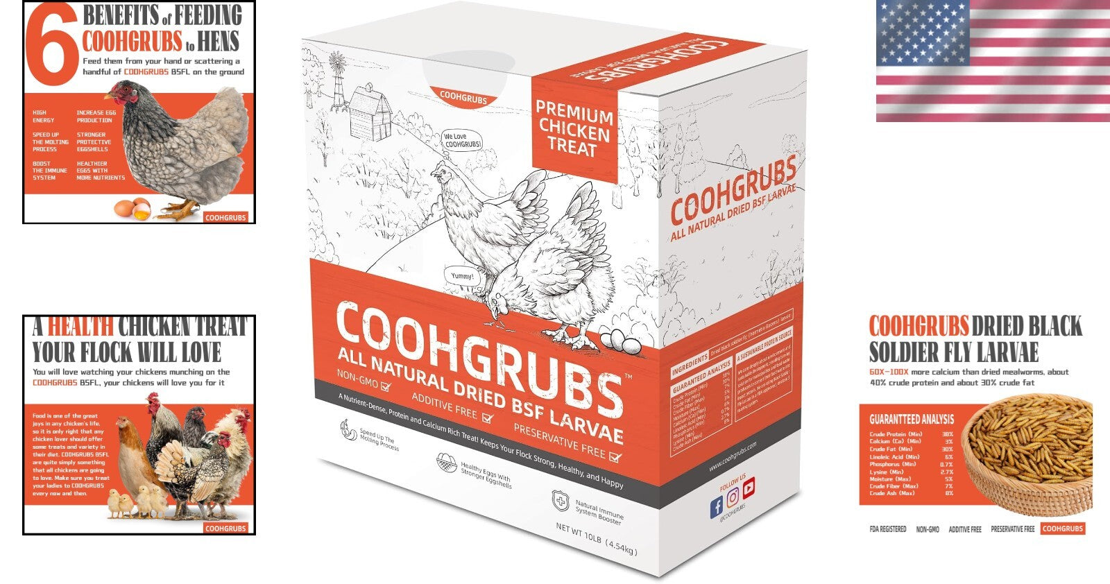 Boost Chicken Health with 10 lb. Black Soldier Fly Larvae: All Breed Suitable