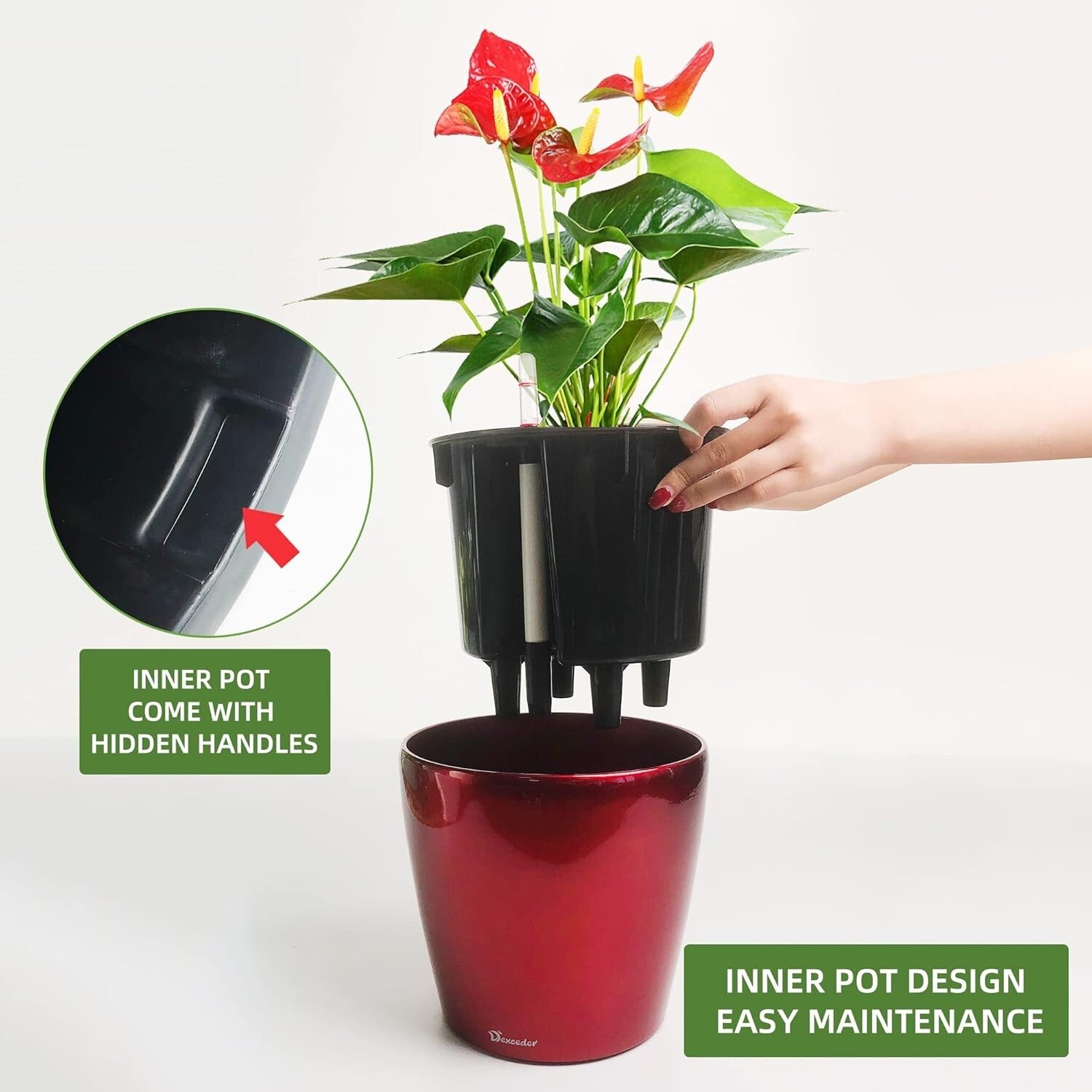 3L High Gloss Self-Watering Planter 9x8 Inches - Indoor/Outdoor Plant Care