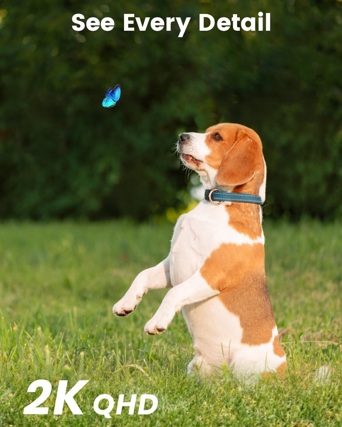 All-in-One Wireless Solar Camera - 2K Image Quality, Night Vision, Eco-Friendly