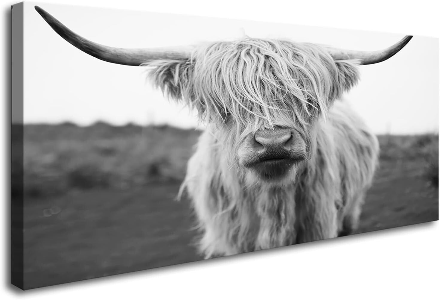 Elegant HC3650 Highland Cow Canvas Art - Black & White Wall Decor 20x40in