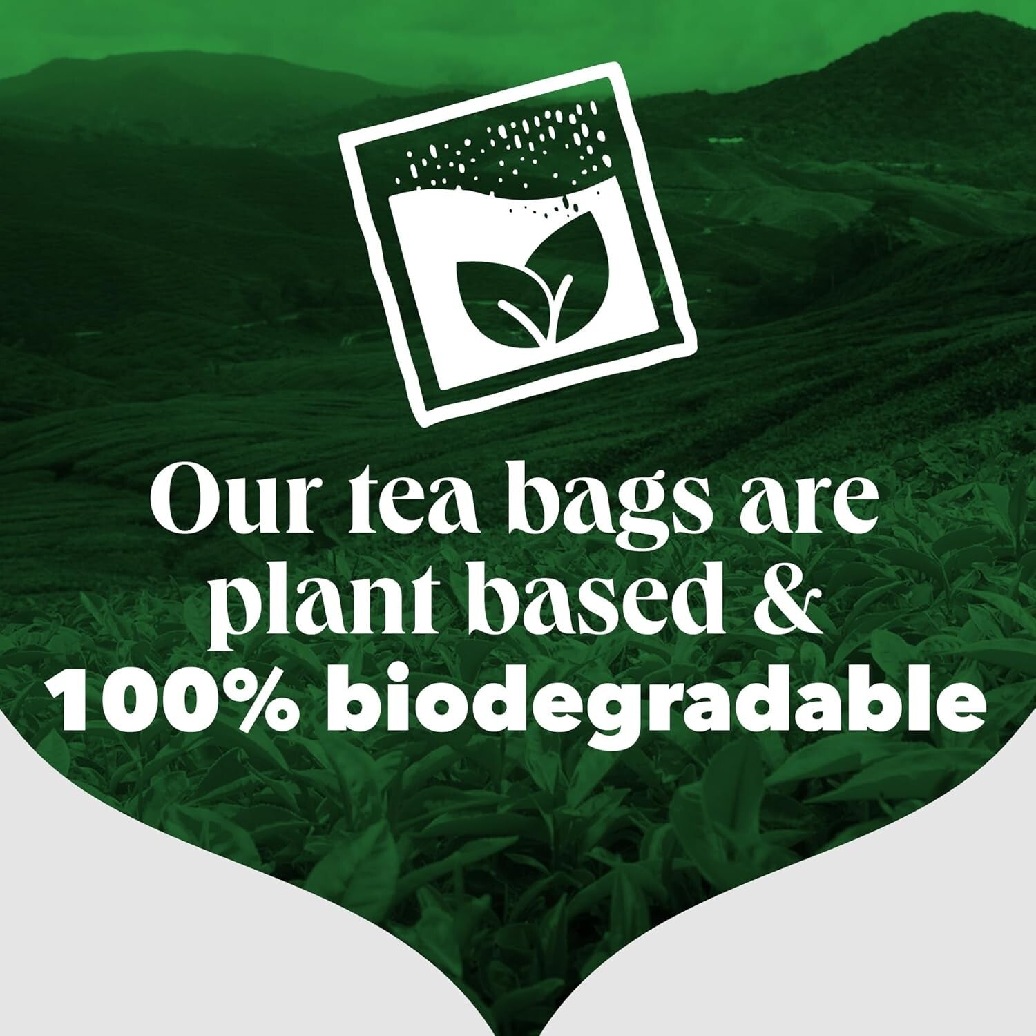 Premium Pyramid Tea Bags - 1100 Count Everyday Tea for Catering & Tea Breaks