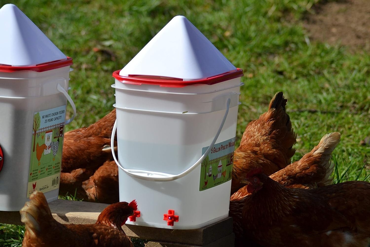 BPA-Free 5 Gallon Chicken Waterer with Dribble Dishes for Ultimate Cleanliness