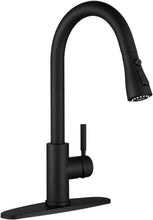 Load image into Gallery viewer, Single Handle Kitchen Faucet with Retractable Sprayer &amp; Easy Installation