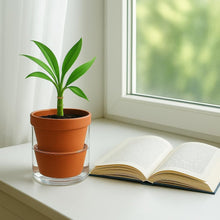 Load image into Gallery viewer, Handcrafted 4-Inch Self-Watering Planter Set with Terracotta Pots and Glass Cups