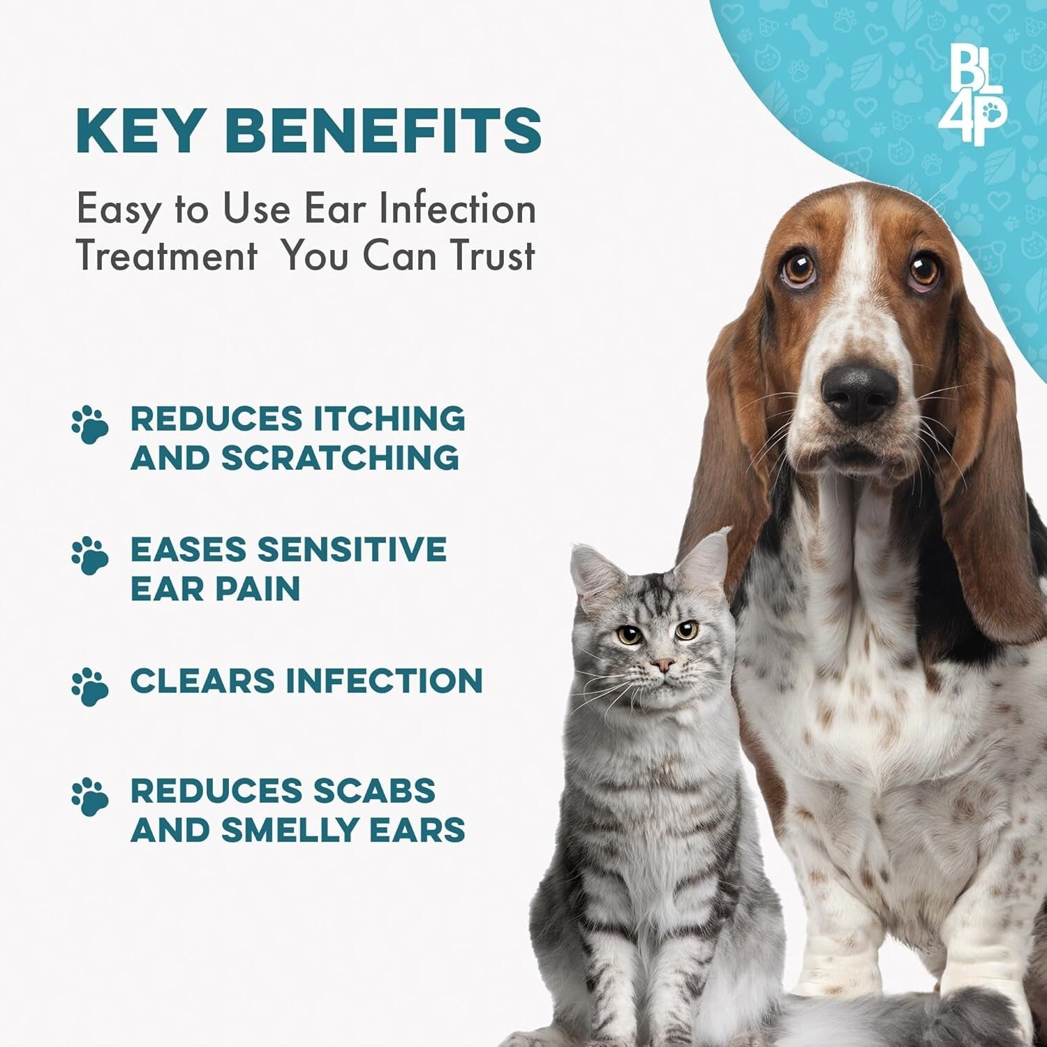 Comprehensive Ear Infection Cure for Pets - 100% Natural Ingredients, 400 Pills