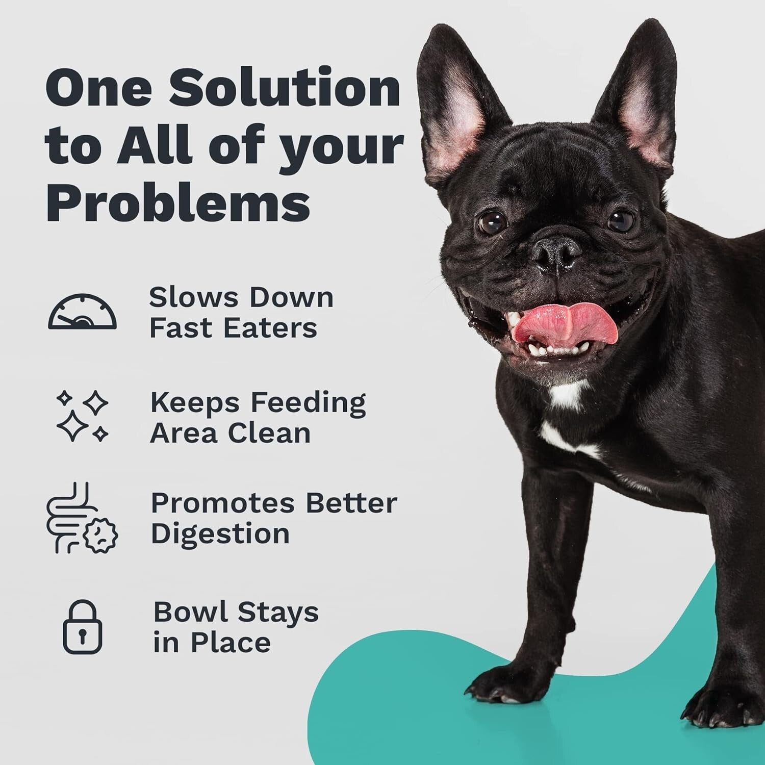 Ergonomic Slanted Dog Bowl with Raised Ridge – Promotes Digestive Health, Medium