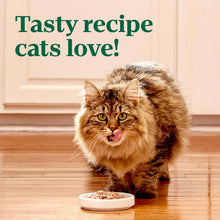 Load image into Gallery viewer, Grain-Free Chicken &amp; Salmon Wet Cat Food - 24 Count Twin Pack for Adult Cats