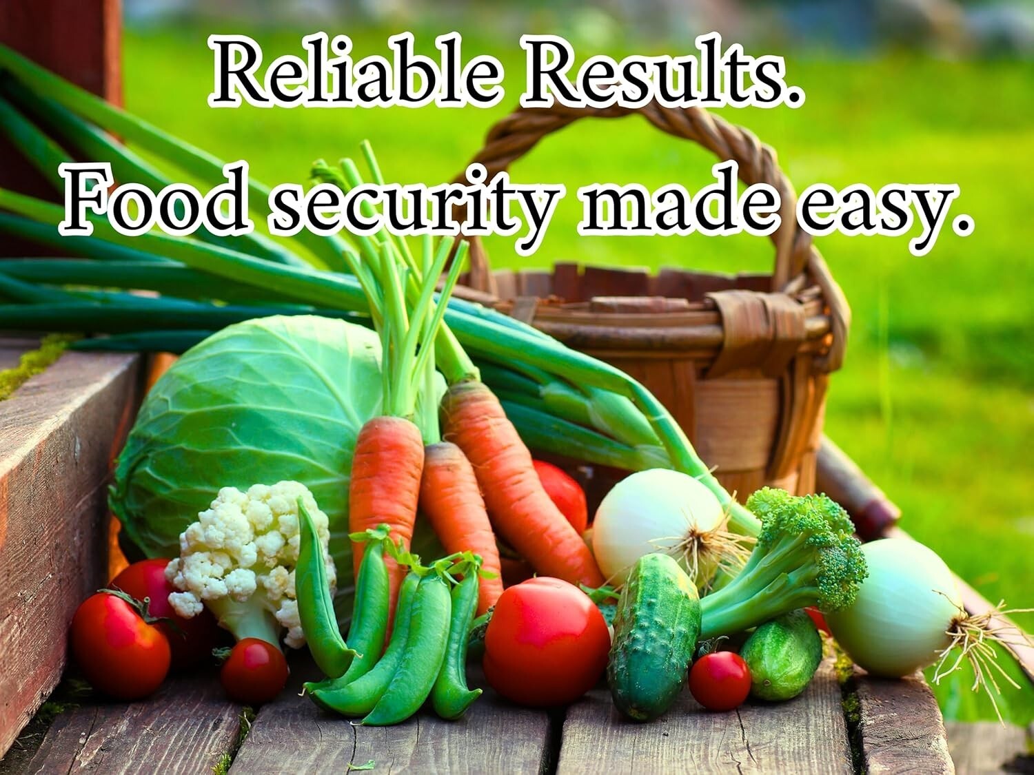 Beginner Survival Seed Vault: 20,000+ Heirloom & Non-GMO Seeds for New Gardeners