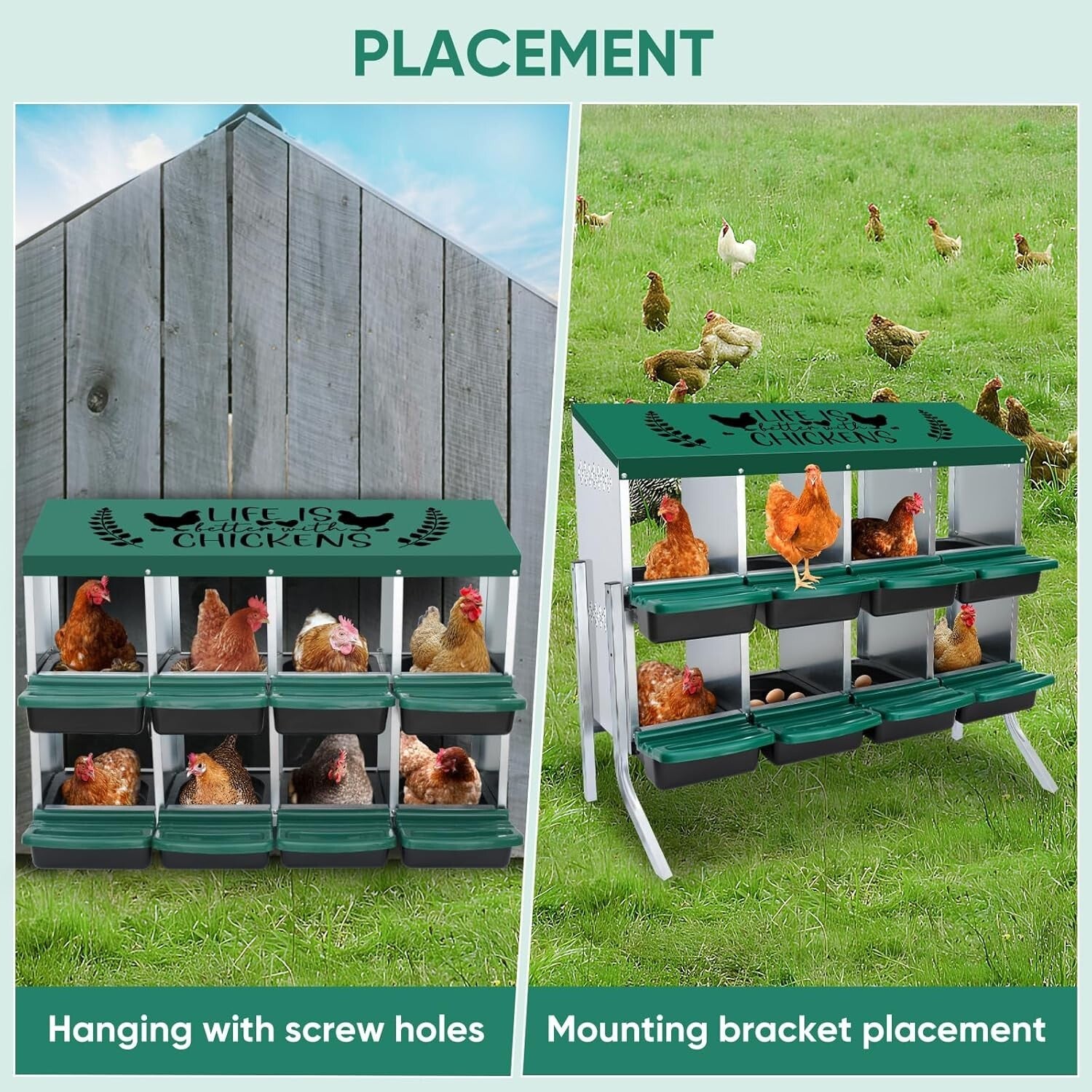8-Hole Height-Adjustable Chicken Nesting Boxes with Automatic Egg Collection