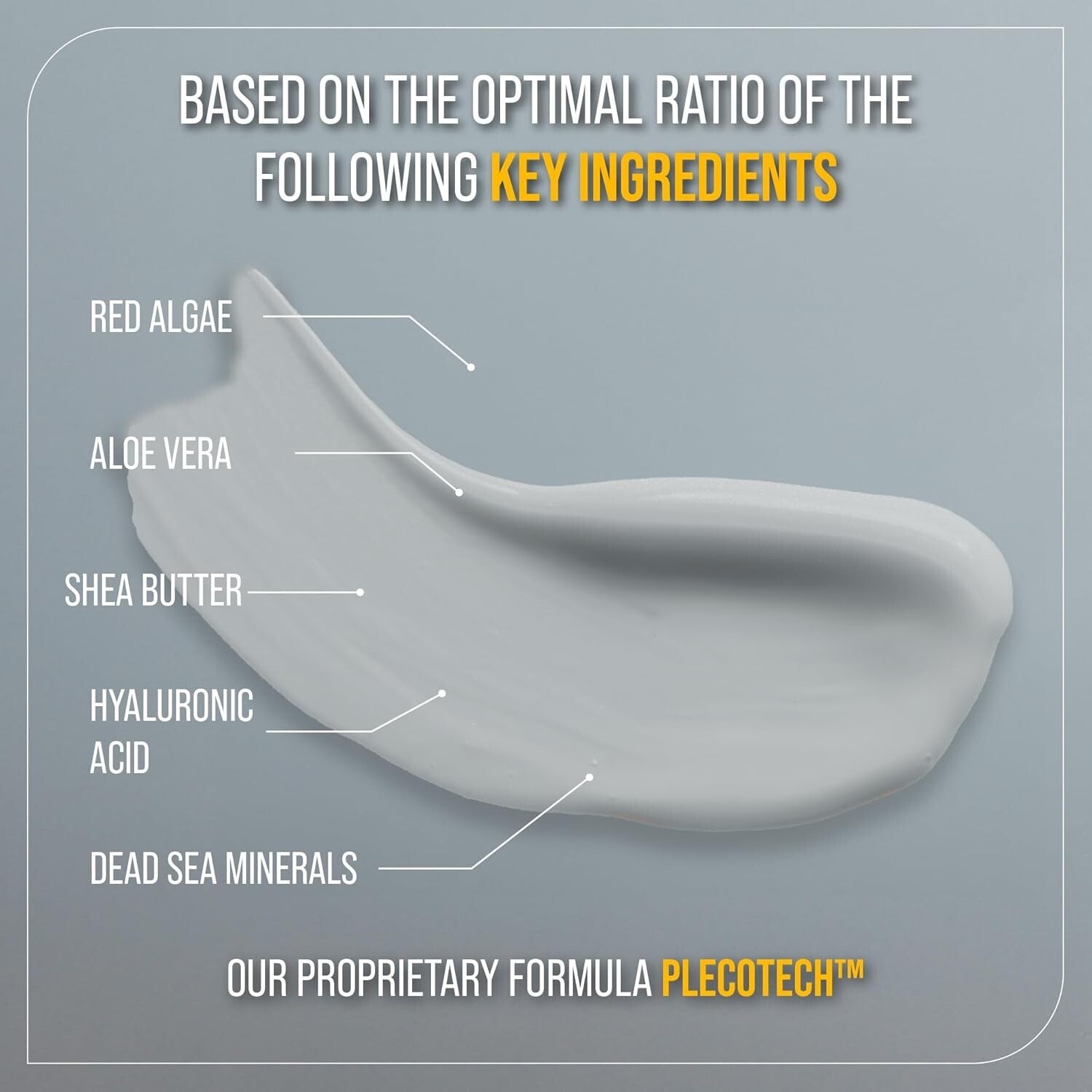 Specialized Swimmers Shampoo with Dead Sea Minerals - Pack of 2 for Healthy Hair