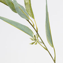 Load image into Gallery viewer, Lifelike Faux Greenery Stems - 6PCS 39'' for Beautiful Wedding Arrangements