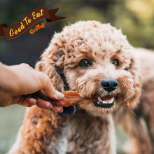 Load image into Gallery viewer, Natural Turkey Tendon Dog Treats - 1 lb Premium Chews for Healthy Medium Breeds