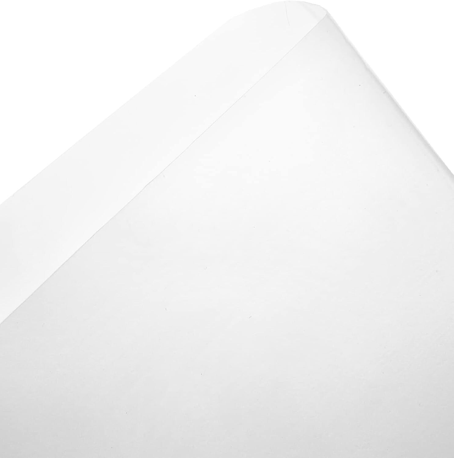 BPA Free Heavy Duty 55 Gallon Clear Drum Liners - 10 Count Kitchen Essential