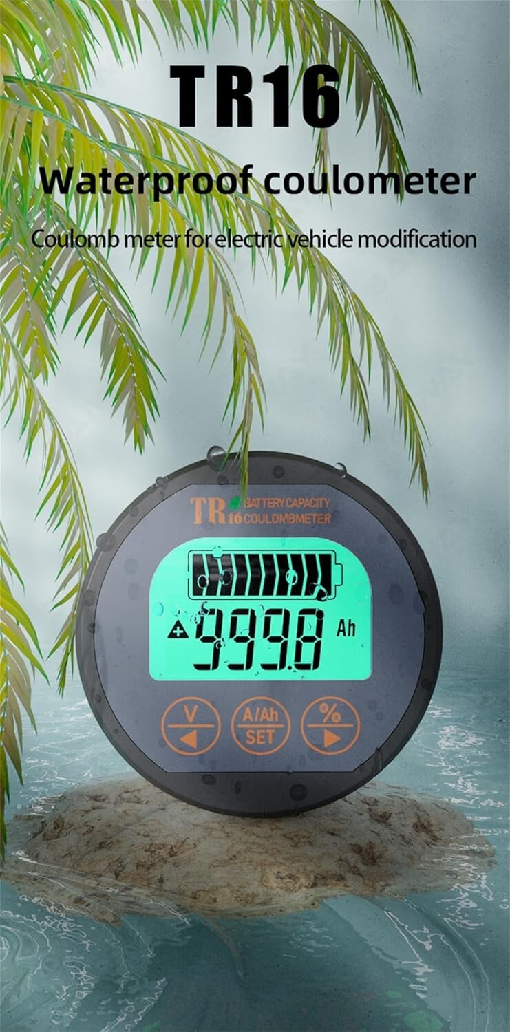 Electric Vehicle Battery Monitor: 8-80V, 0-100A - Reliable Performance Tracker