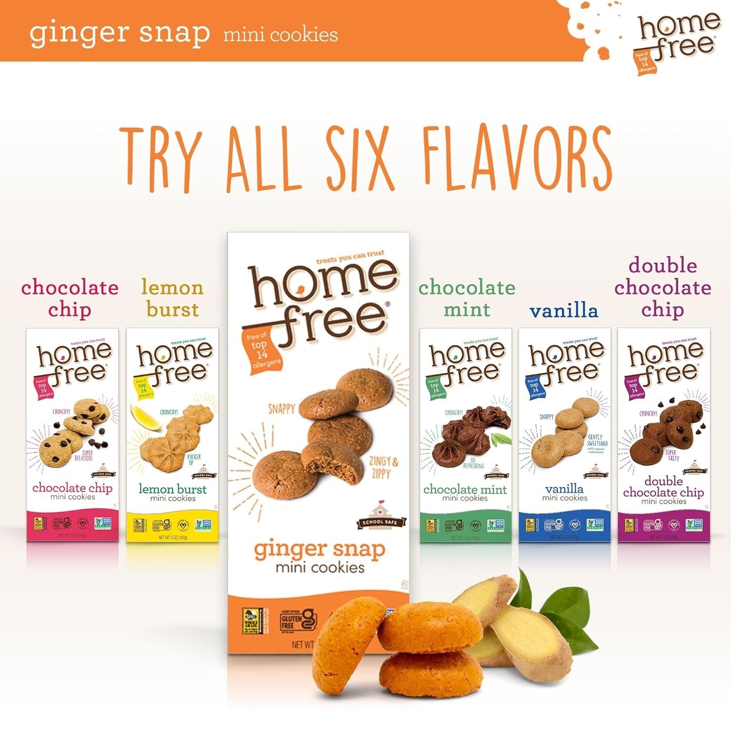 Delicious Vegan Ginger Snap Mini Cookies - Nut-Free, School Safe & 5 oz Packs
