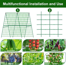 Load image into Gallery viewer, Sturdy 2 Pack A-Frame Trellis for Cucumbers &amp; Climbing Vegetables - 48" x 48"