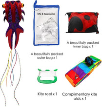 Load image into Gallery viewer, Giant 3D Dolphin Parafoil Kite - Easy Flyer for Kids &amp; Adults, 501.7" Long