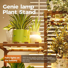 Load image into Gallery viewer, Ladder Style Plant Stands with Adjustable Grow Lights - Perfect for Home Décor