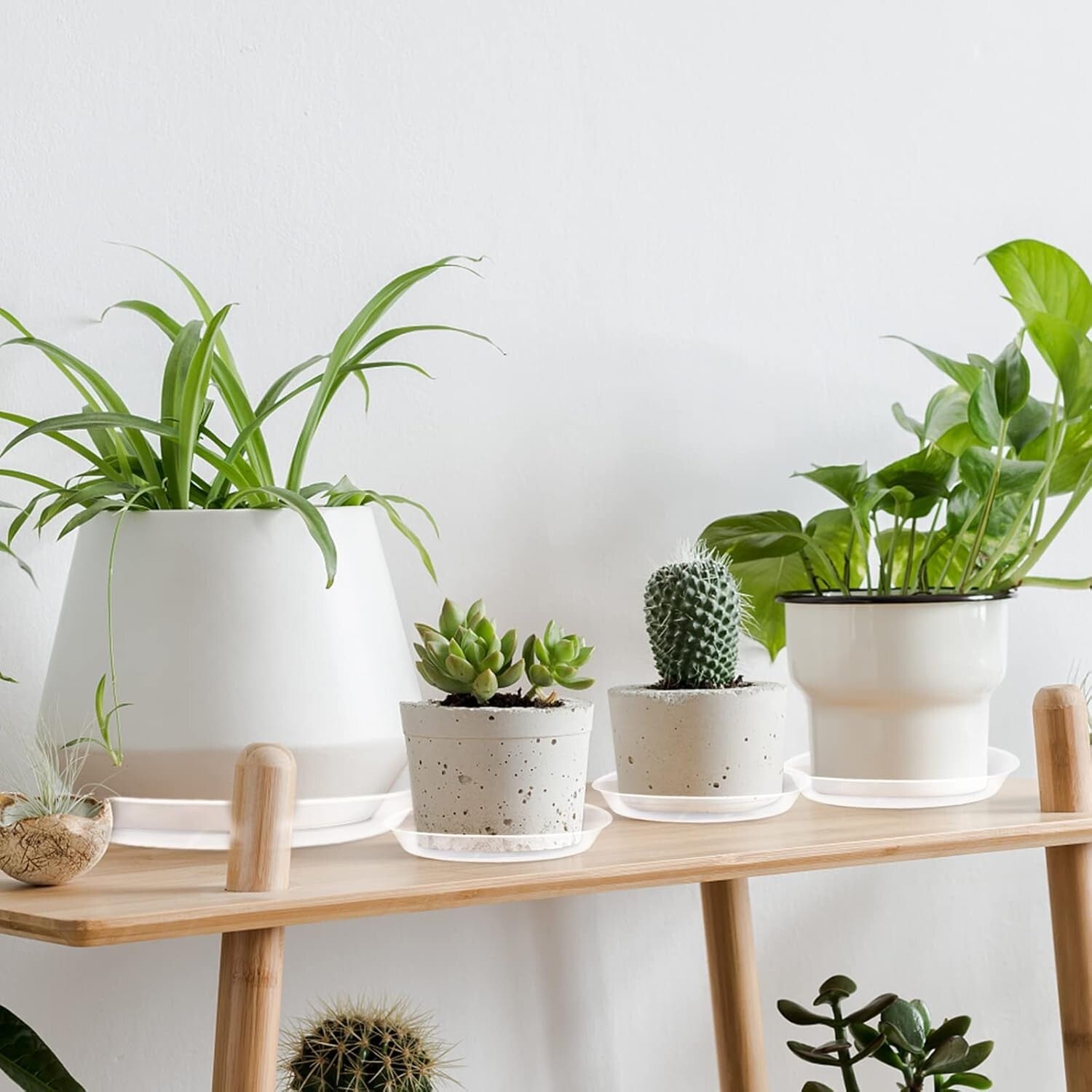 Eco-Friendly 18-Inch Plant Saucers - Pack of 6 Drip Trays for Indoor/Outdoor Use