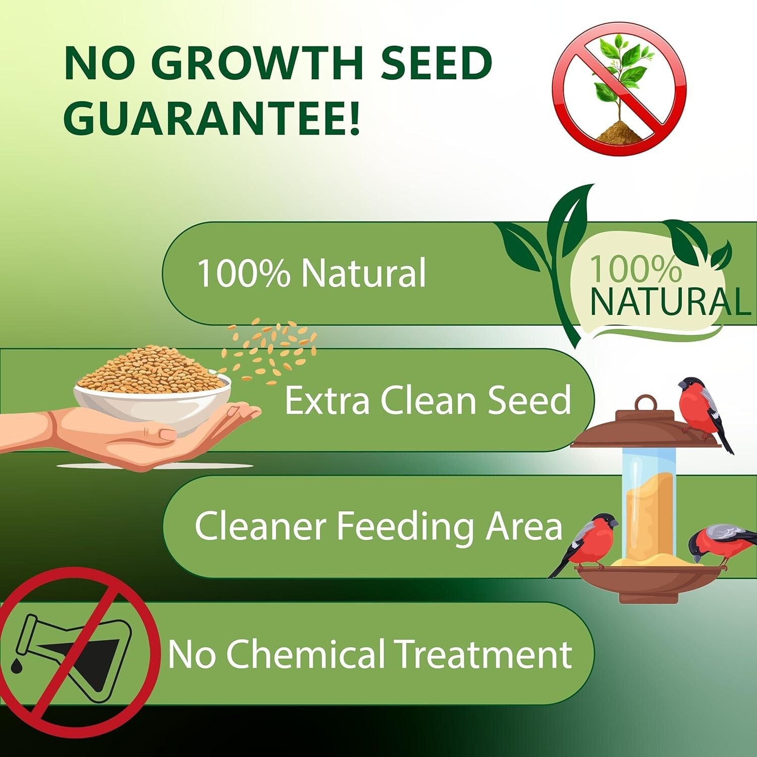 High-Protein 15 lbs Black Oil Sunflower Seeds - Year-Round Bird Care