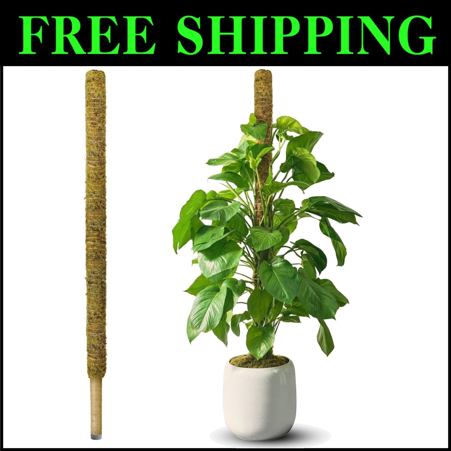 59'' Sturdy Moss Support Pole for Tall Plants - Perfect for Indoor Gardens