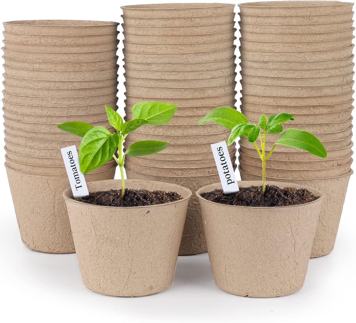 Eco-Friendly 120 Pieces Peat Pots with Drainage Holes for Seedlings & Labels