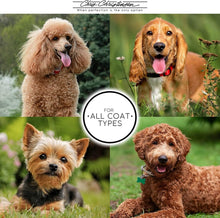 Load image into Gallery viewer, Professional-Grade 27mm Dog &amp; Cat Grooming Brush - Lightweight and Ergonomic