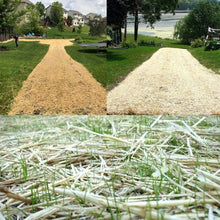Load image into Gallery viewer, Contractor-Grade 4' x 50' Biodegradable Grass Seed Blanket for Erosion Control