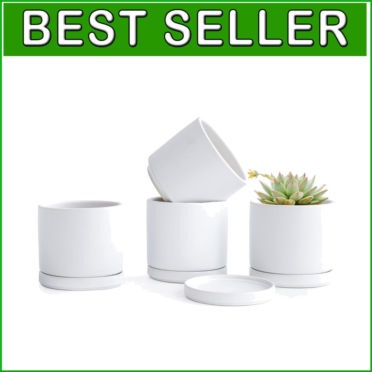 Lightweight White Ceramic Plant Pots with Saucer - Ideal for Indoor Plants
