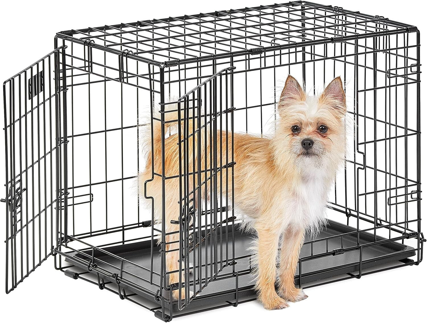 24-Inch Secure Folding Dog Crate for Small Breeds - Easy Assembly & Travel Ready