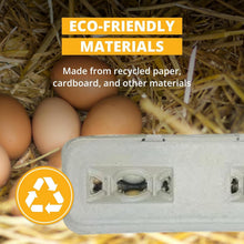 Load image into Gallery viewer, Large Capacity Egg Cartons - 250 Pack with Flip Top Closure, Ideal for Branding