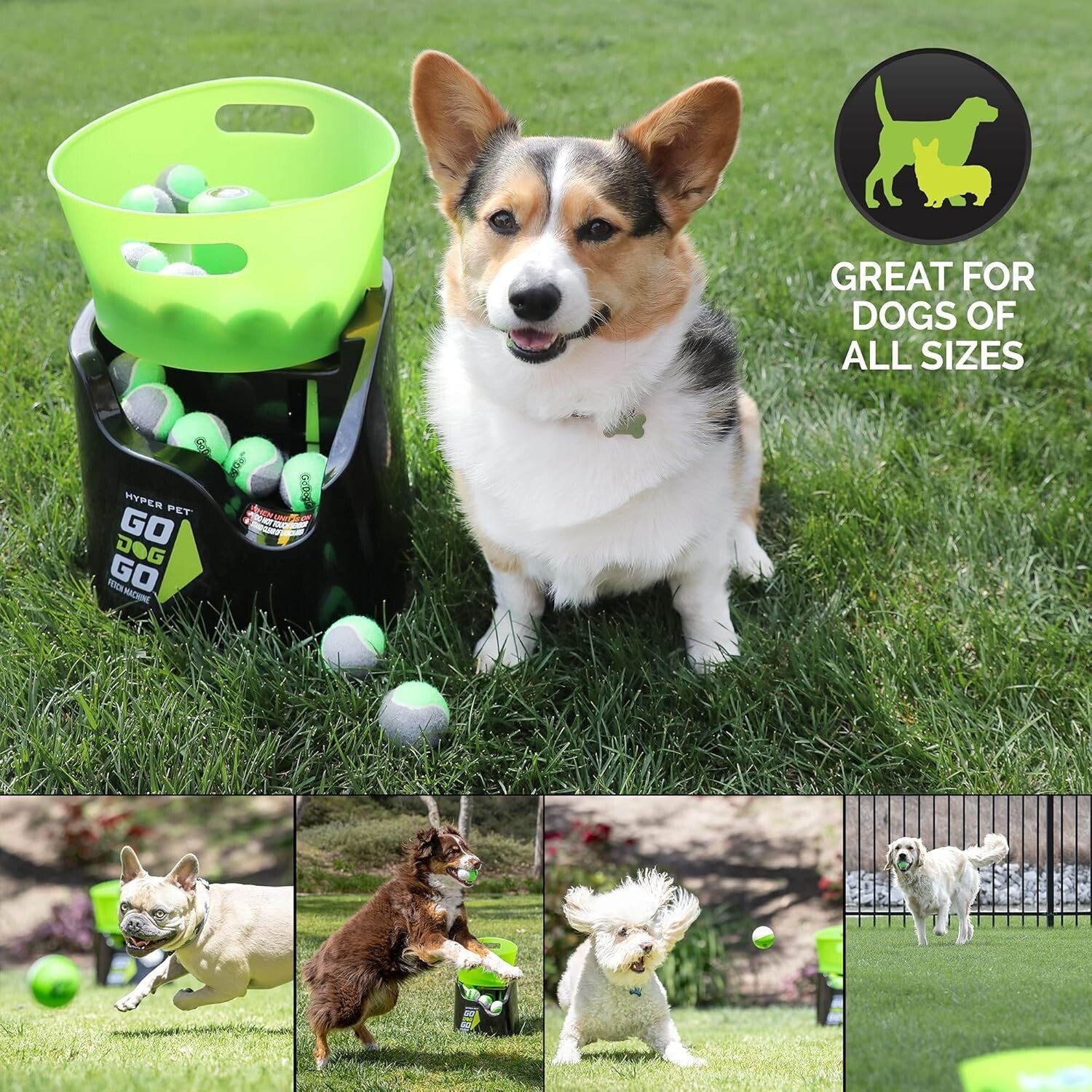 Interactive GoDogGo Fetch Machine: Automatic Dog Ball Launcher for Active Play
