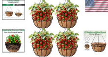 Load image into Gallery viewer, Rust Resistant 14-Inch Metal Hanging Flower Pots - 4 Pack with Coco Liners