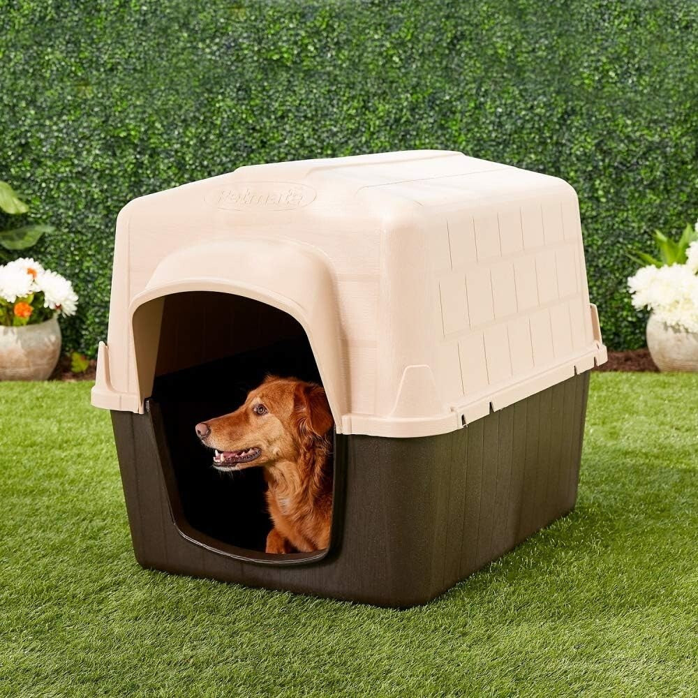 Weather-Resistant Aspen Pet Outdoor Dog House for Medium Breeds (25-50 lbs)