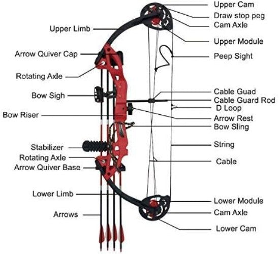 Lightweight Right-Handed Compound Bow for Beginners - 15-29 lbs Draw Weight