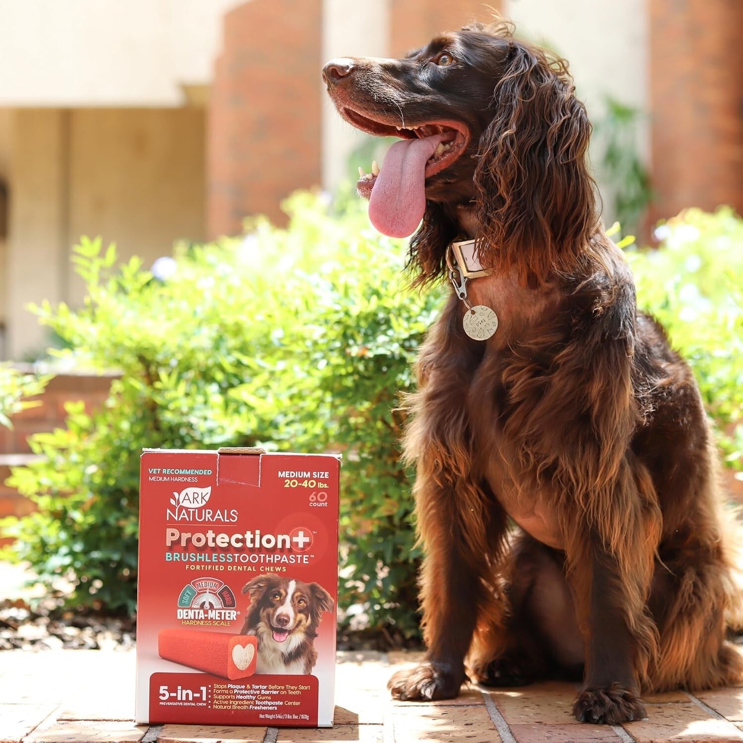 Veterinarian-Formulated Brushless Dog Toothpaste Chews for Medium Breeds 54oz