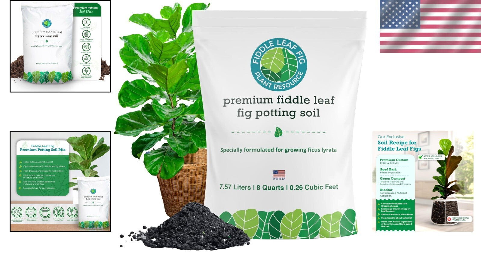 Sustainably Sourced Fiddle Leaf Fig Soil - Nutrient-Rich & Pre-Mixed Solution
