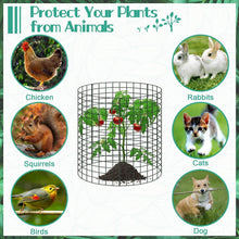 Load image into Gallery viewer, Complete Plant Protection Set - 30 Wire Mesh Panels, Stakes &amp; Ties for Gardens