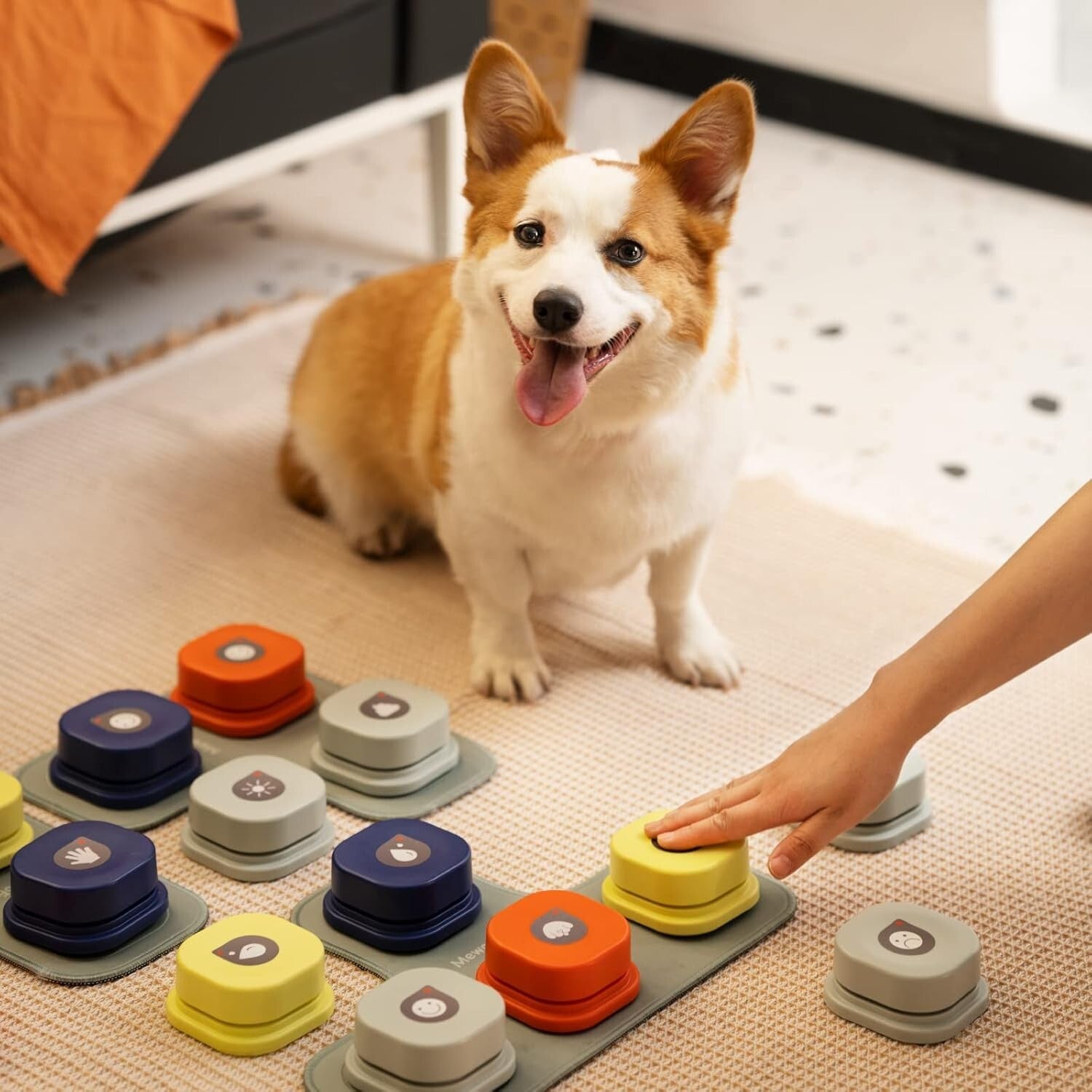 Recordable Dog Communication Buttons with Rubber Mat for Interactive Training