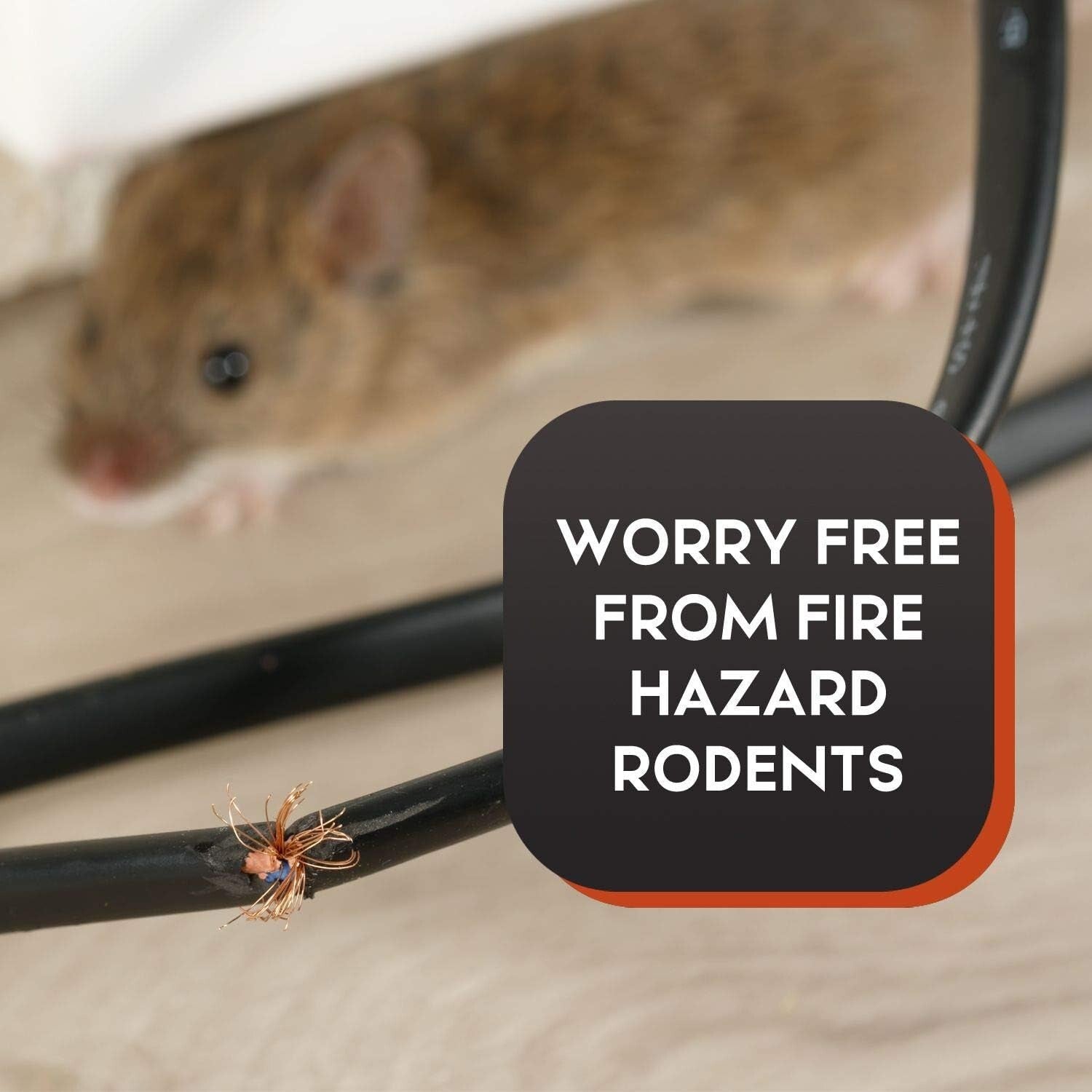 High-Quality Outdoor Squirrel Trap - Large Metal Design for Quick Extermination