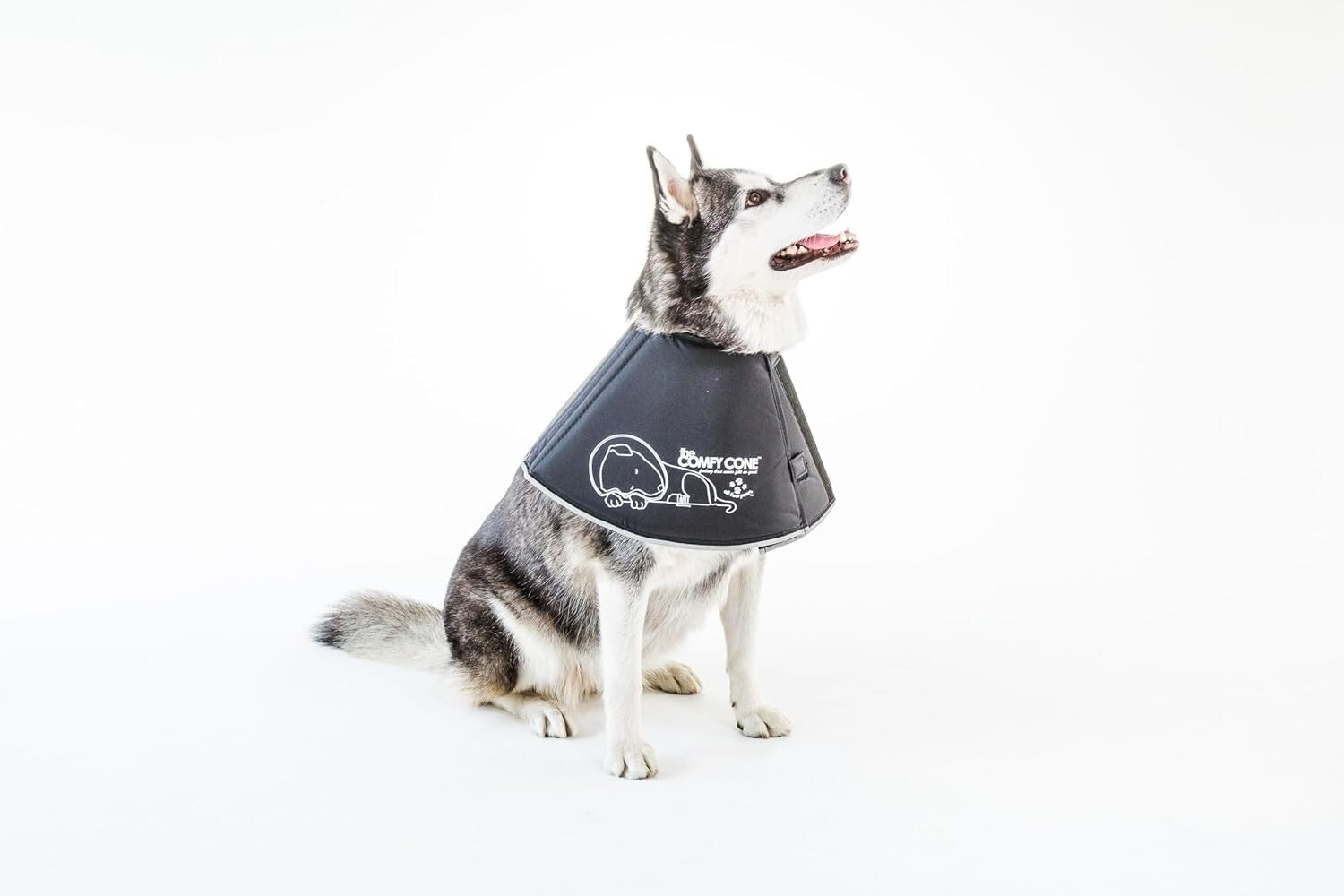 Lightweight Adjustable Pet Recovery Collar - Soft Cone for Surgery & Wound Care