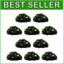 Load image into Gallery viewer, 10 Realistic Black Silk Roses in Decorative Box - Perfect for Weddings &amp; Parties