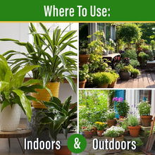 Load image into Gallery viewer, Premium Plant Juice Organic Fertilizer - Rich in Probiotics &amp; Micronutrients